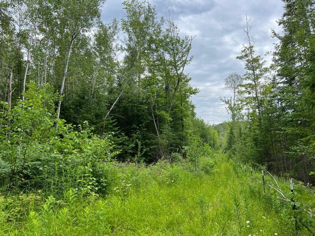 Trails | Image 42