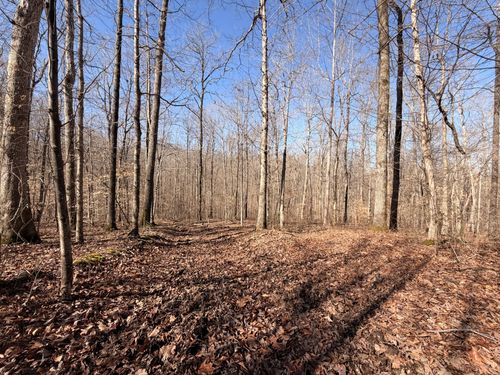 0 Tonya Trl, Cumberland Furnace, TN, 37051 | Card Image