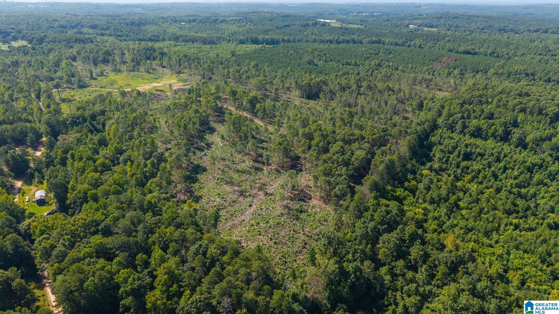Land in HEFLIN 4