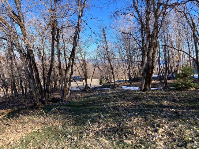 View of yard | Image 13