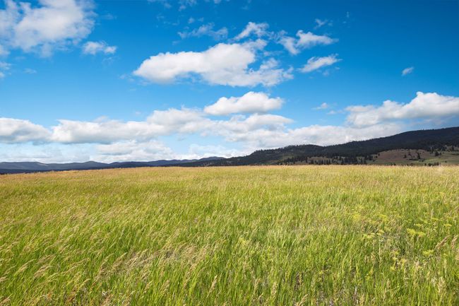 LOT-2C - NHN Lake Mary Ronan Road, Home with 0 bedrooms, 0 bathrooms and null parking in Dayton MT | Image 27