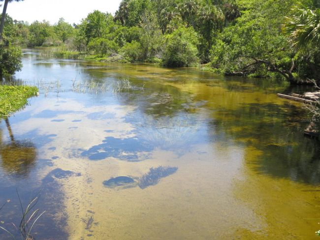 Ocala National Forest Activity | Image 78