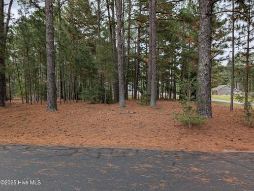 129 Laurel Oak Ln, Pinebluff, NC, 28373-8020 | Card Image