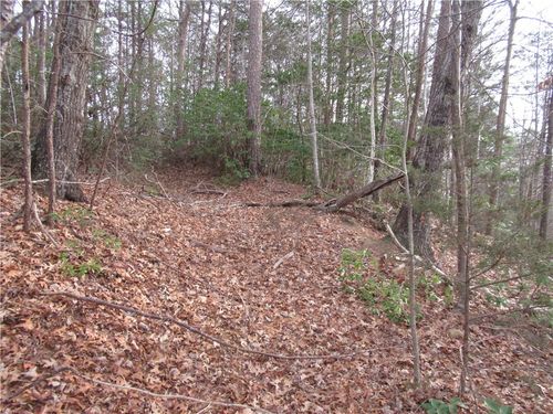 00 Lone Rock Ct, Pickens, SC, 29671 | Card Image