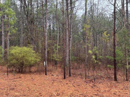 1094 Longleaf Way, Lincolnton, GA, 30817 | Card Image