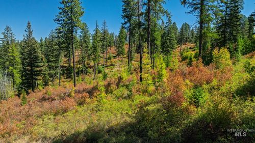 NKA Oreilly Rd, Princeton, ID, 83857 | Card Image