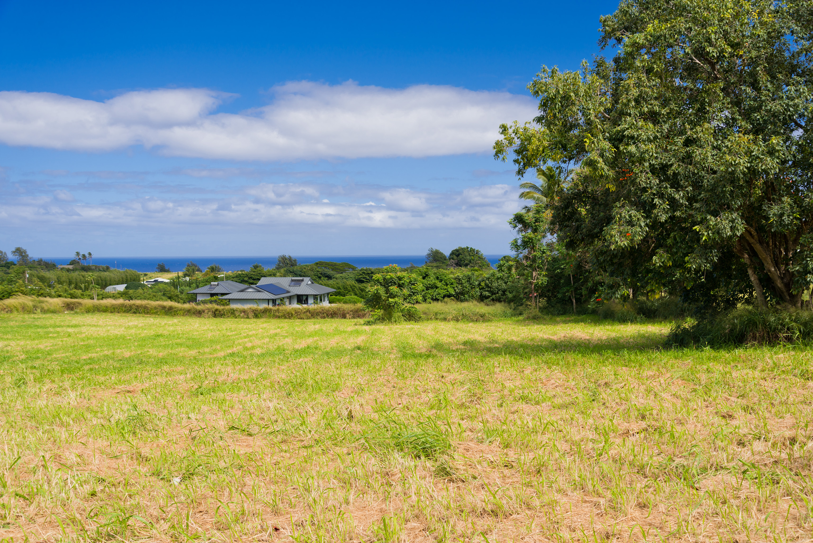 Land in Kapaau 4
