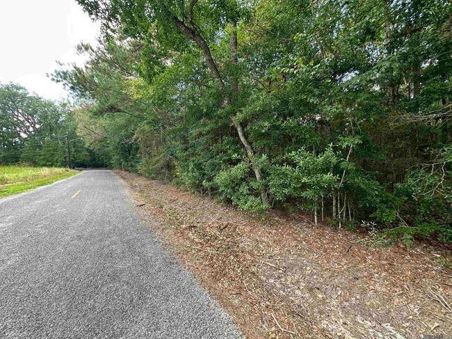 26.85 Acres Heritage Acres Ln, Home with 0 bedrooms, 0 bathrooms and null parking in Robert LA | Image 15