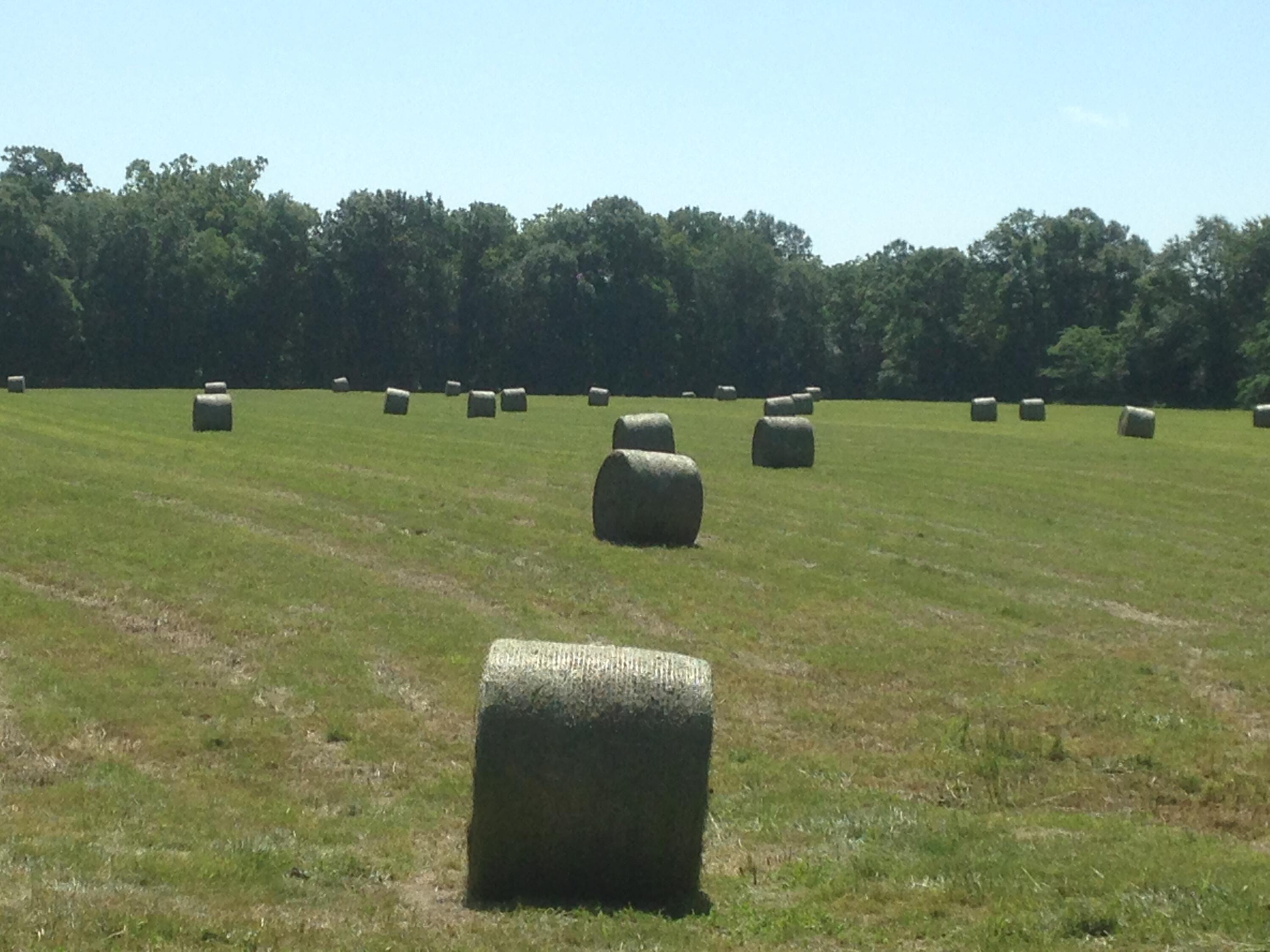 Farm in Richland 2