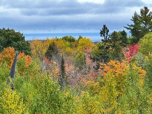 1541 Camp 20 Rd, Hovland, MN, 55606 | Card Image