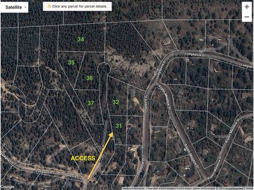 32561 Lodgepole Dr, Evergreen, CO, 80439-6650 | Card Image
