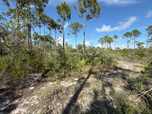 Lot A Adventure Ave, Port Saint Joe, FL, 32456 | Card Image