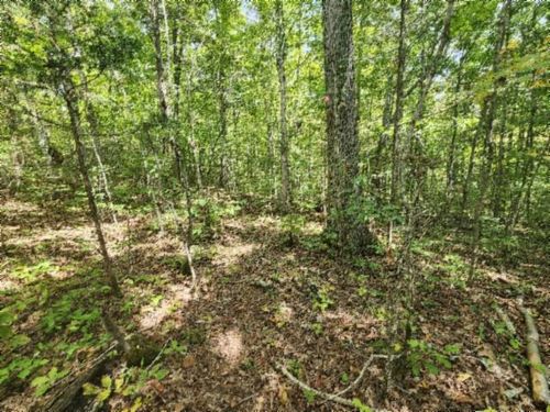 16.22ac Glenobey Rd, Jamestown, TN, 38556 | Card Image