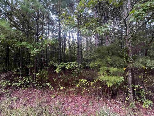 0000 Lanni Ln, White Hall, AR, 71602 | Card Image