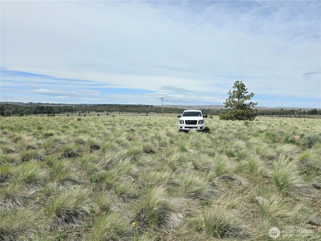 226 Duree Rd, Home with 0 bedrooms, 0 bathrooms and null parking in Bickleton WA | Image 16