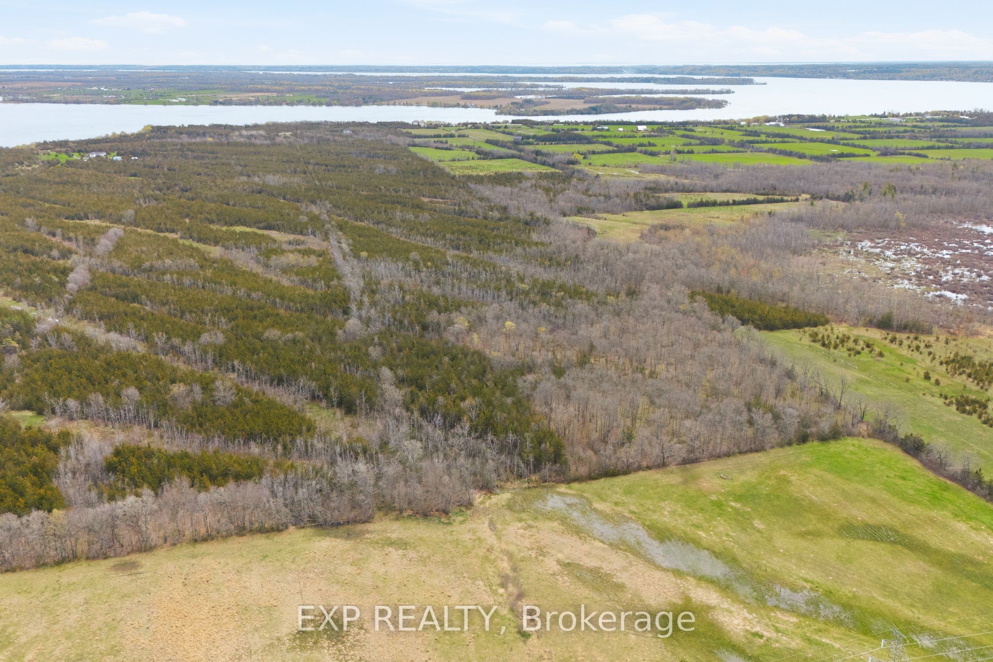 Residential in Prince Edward County 3