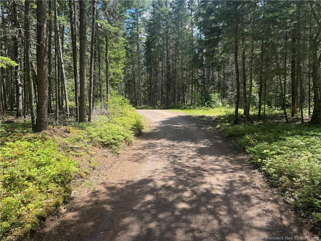 Land in Portage Vale 5
