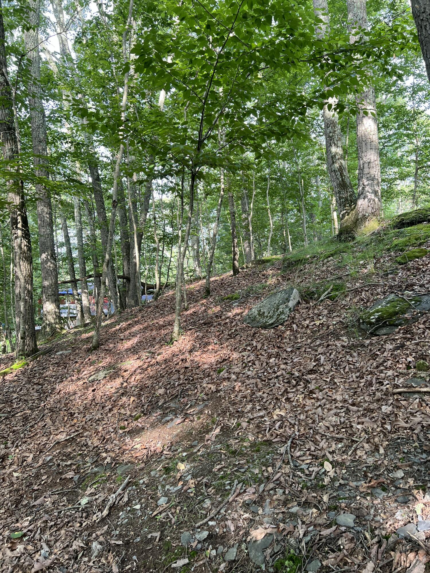 Land in East Stroudsburg 2