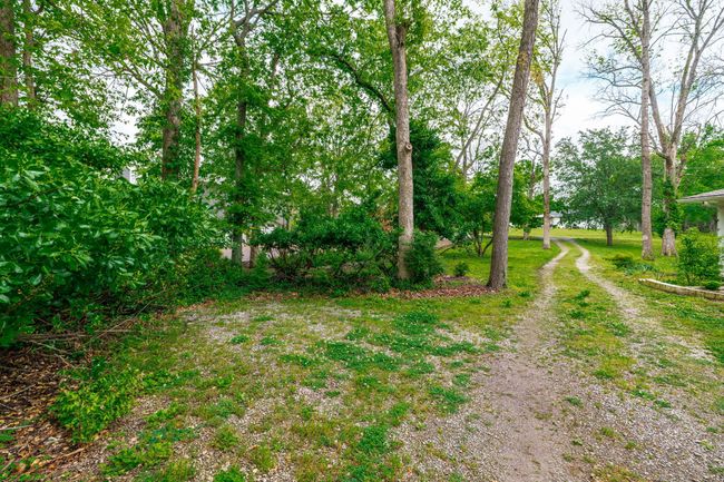 The mature trees and landscape provide a natural barrier from adjoining properties. | Image 11
