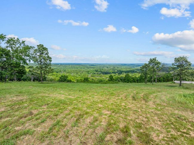 110 Stagecoach RD Kirbyville (17) | Image 17