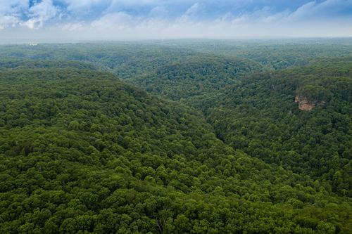 916 N Rim Drive, Coalmont, TN, 37313 | Card Image