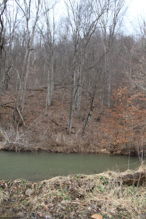 1155 Price Run Rd, Webster Springs, WV, 26288-8745 | Card Image