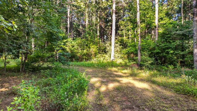 TBD 17.57 ACRES Fm 2274, Home with 1 bedrooms, 1 bathrooms and null parking in Troup TX | Image 20