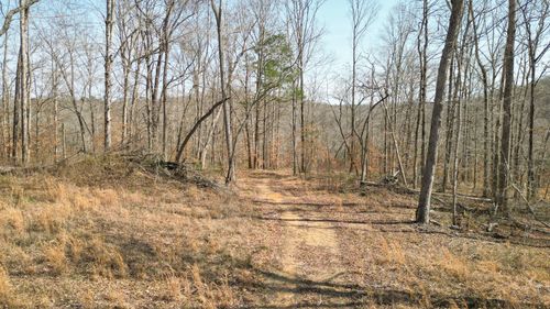 5 Primm Rd, Ashland City, TN, 37015 | Card Image