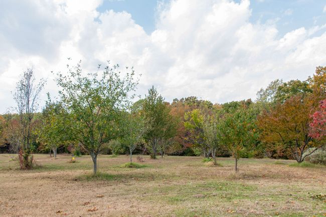7690 Barnhill Rd, House other with 3 bedrooms, 2 bathrooms and 13 parking in Primm Springs TN | Image 24