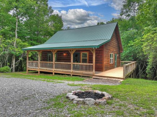 295 Ross Drive, Mineral Bluff, GA, 30559 | Card Image