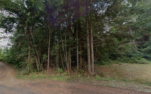 46 Mountain Trail Ct, Brinnon, WA, 98320-9649 | Card Image