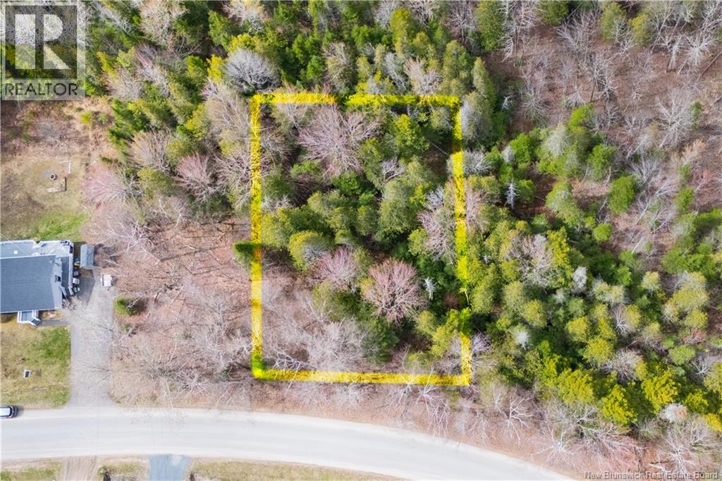 Land in New Maryland 2