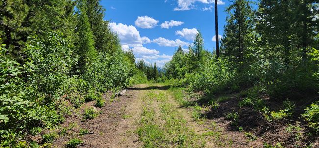 14463 Libby Creek Rd, Home with 0 bedrooms, 0 bathrooms and null parking in Libby MT | Image 11