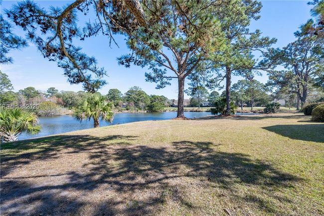 Brackish Lagoon | Image 54