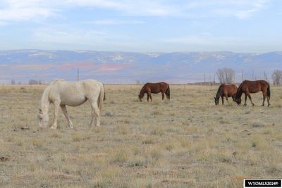 347 Wild Horse Ranch Rd, Home with 0 bedrooms, 0 bathrooms and null parking in Laramie WY | Image 2