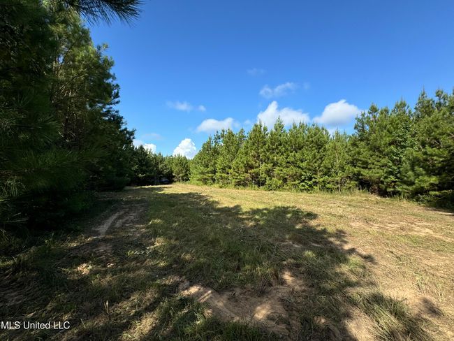 land-for-sale-lincoln-county-ms 11 | Image 14