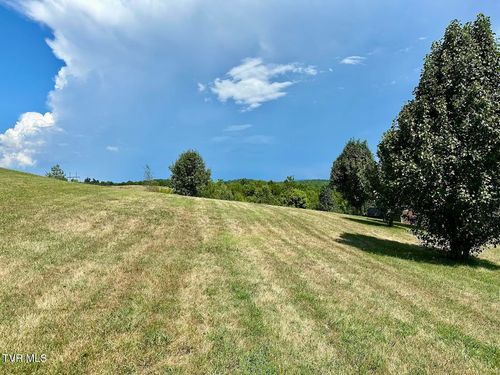 Tbd Dulaney Rd, Mosheim, TN, 37818 | Card Image