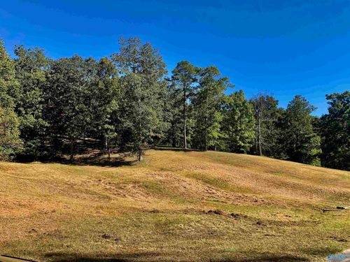 145,147,149 Hillsdale Drive, Gurley, AL, 35748 | Card Image