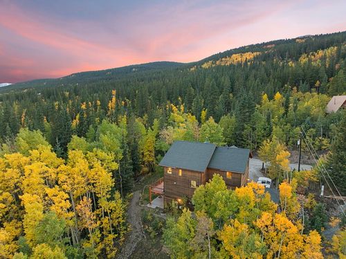 294 Mine Dump Road, ALMA, CO, 80440 | Card Image