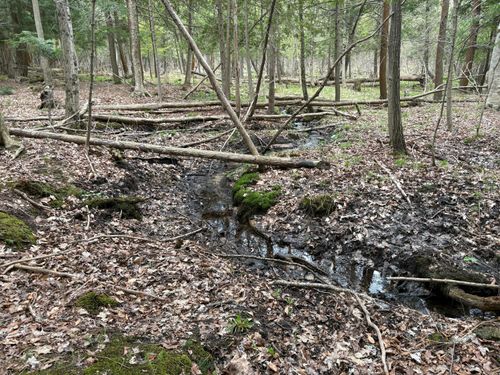 2.27 Acres E Shelby Rd, Shelby, MI, 49455 | Card Image