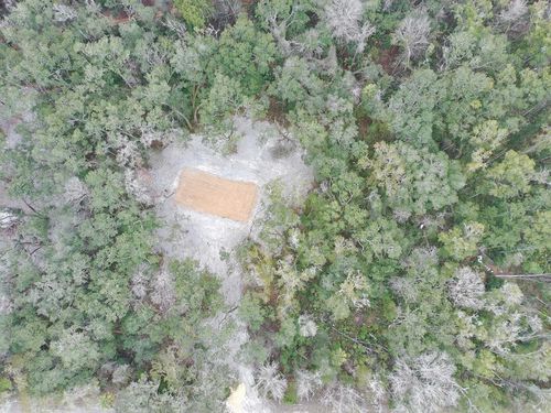 332 Ne 325th Ave, OLD TOWN, FL, 32680-4651 | Card Image