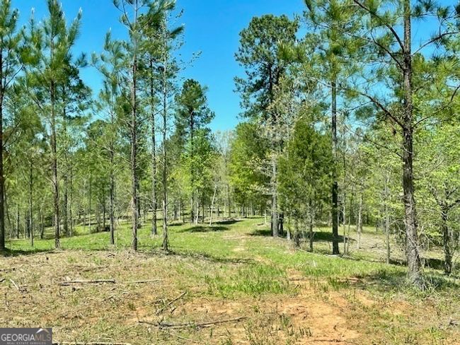 1276 Hornets Bridge Rd, Home with 0 bedrooms, 0 bathrooms and null parking in Elberton GA | Image 11