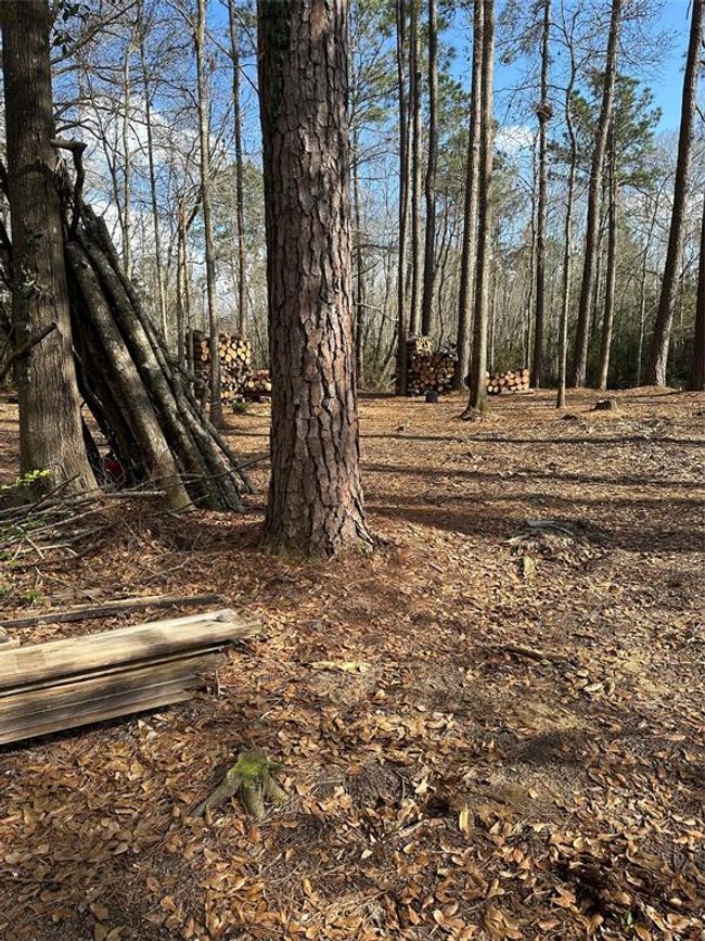 1 Mcclains Rd, Home with 0 bedrooms, 0 bathrooms and null parking in Shepherd TX | Image 5