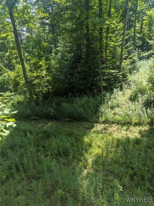 VL Bowers Road, Stockton, NY, 14718 | Card Image