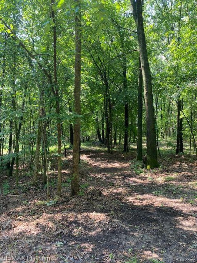 6 Sleaford Parcel 6   2.1 Acres Road, Home with 0 bedrooms, 0 bathrooms and null parking in Howell Township MI | Image 33