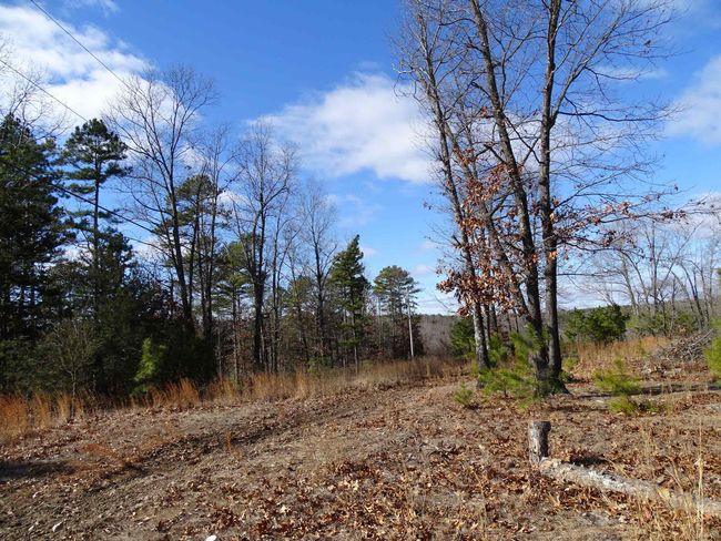 1163 Fee Hollow Ter, House other with 4 bedrooms, 3 bathrooms and null parking in Yellville AR | Image 25
