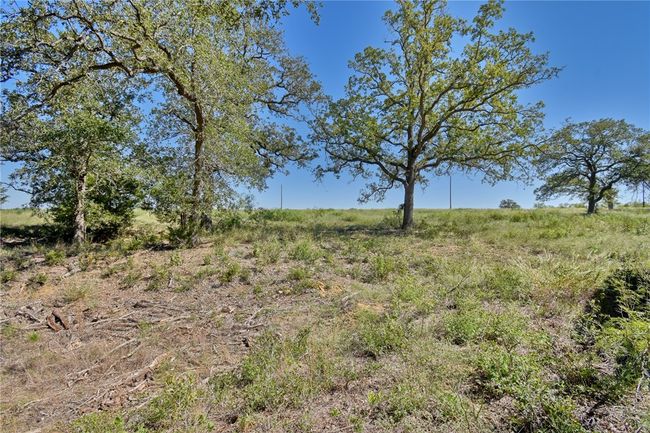 180 Sunny Day Drive, Home with 0 bedrooms, 0 bathrooms and null parking in Red Rock TX | Image 7