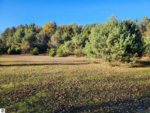 VL Old 9 Mile Rd, Kaleva, MI, 49645 | Card Image