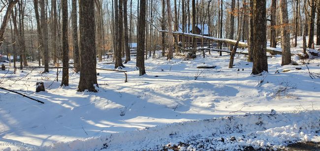 Lot | Image 7