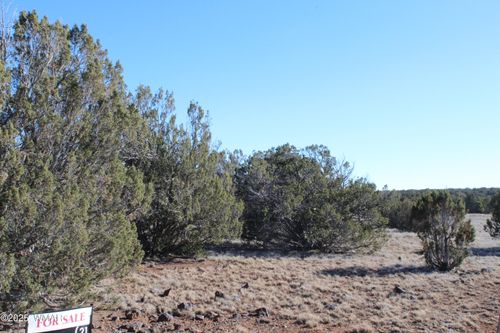 Lot 163B K B Ranch Rd, Show Low, AZ, 85901-7571 | Card Image